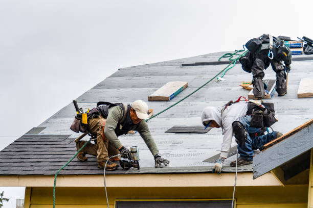 Professional Gutter Installation technician working in Cardinal, VA